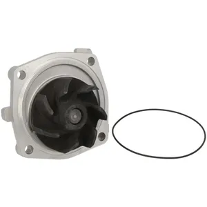 Pompe à eau HEPU P031 pas cher