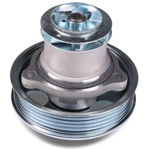 Pompe à eau HEPU P668 pas cher