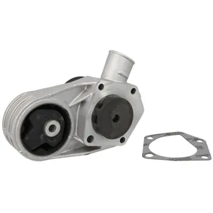Pompe à eau HEPU P645 pas cher