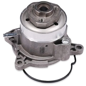 Pompe à eau HEPU P656 pas cher