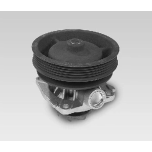 Pompe à eau HEPU P122 pas cher
