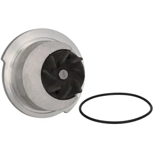 Pompe à eau HEPU P387 pas cher