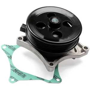 Pompe à eau HEPU P389 pas cher