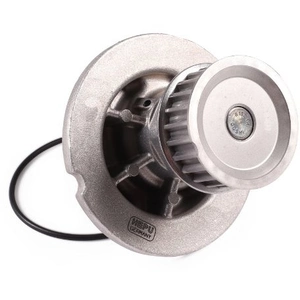 Hepu P367 Pompe à eau pas cher