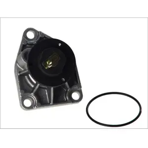 Pompe à eau HEPU P320 pas cher