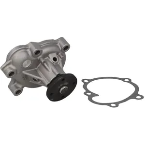 Pompe à eau HEPU P343 pas cher