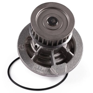 Hepu P314 Pompe à eau pas cher