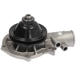 Pompe à eau HEPU P309 pas cher