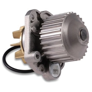 Hepu P1075 Pompe à eau pas cher