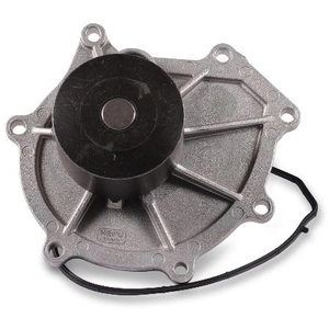 Pompe à eau HEPU P2601 pas cher