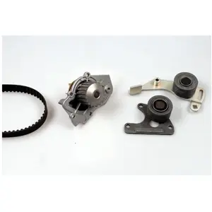 Pompe À Eau + Kit De Courroie De Distribution Pk08150 Hepu Citroën; Fs... pas cher
