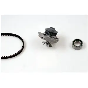 Hepu PK10641 Pompe à eau + kit de courroie de distribution