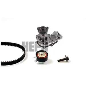 Pompe À Eau + Kit De Distribution Pk02690 Hepu Ford Hepu Pk02690 pas cher