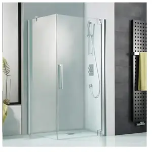 HSK K2P Porte pivotante, pour paroi latérale, 2172090-41-50#EdRe, pas cher