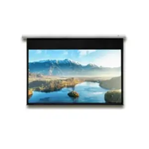 Comparateur de prix : Celexon Ecran de projection motorisé DELUXX Expert Elegance 4:3 Blanc ...