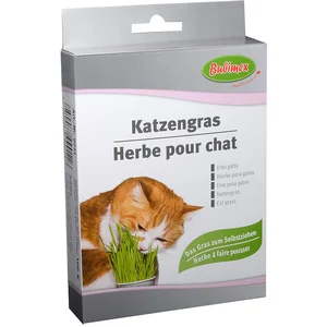 Bubimex - Herbe à chat à brocher - 100g pas cher