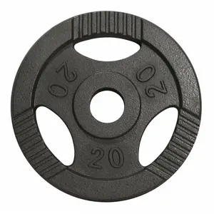 Comparateur de prix : GORILLA SPORTS Poids olympiques en fonte avec poignees   51 mm   gris   poids   20 kg