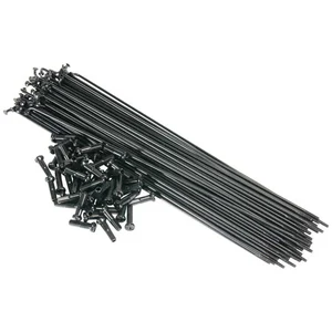 Saltbmx Rayons de Sel 182mm en Acier Inoxydable avec Écrous Noirs - 50 PiècesVendu parbikeinn