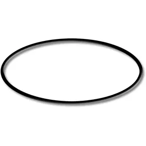Pièce détachée pour SunSun Stérilisateur CUV-136 - Joint torique-2 pas cher