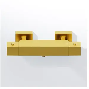 Steinberg 342 Mitigeur thermostatique, pour douche, 342 3200 BG, pas cher