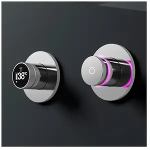 Steinberg 310 Mitigeur thermostatique, pour bain & douche, 310 4120, pas cher