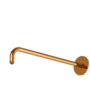 Steinberg Sensual Rain Bras de douche, 100 7910 RG, pas cher
