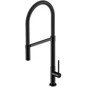 Steinberg 100 Mitigeur de cuisine, pivotant, 100 1495 S,Vendu paramazon