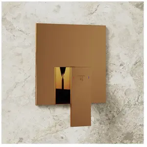 Steinberg 160 Mitigeur monocommande, pour douche, 160 2243 3 RG, pas cher