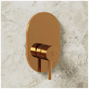 Steinberg 100 Mitigeur monocommande, pour douche, 100 2243 3 RG, pas cher