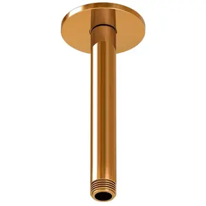 Steinberg Sensual Rain Bras de douche, 100 1571 RG, pas cher