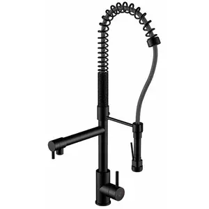Steinberg 100 Mitigeur de cuisine, pivotant, 100 1480 S, pas cher