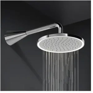 Steinberg 310 Douche de tête, 1 jet, 310 1686, pas cher