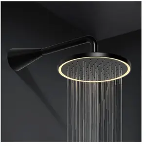 Steinberg 310 Douche de tête, 1 jet, 310 1686 S, pas cher