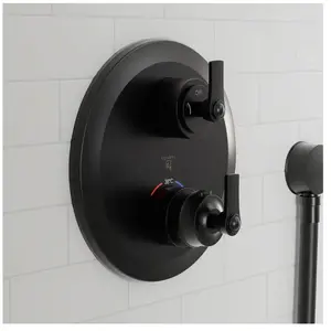 Steinberg 350 Mitigeur thermostatique, pour douche, 350 4133 3 S, pas cher