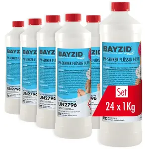 24 x 1 kg BAYZID réducteur de pH moins 14,9% de Höfer Chemie pour pisc... pas cher