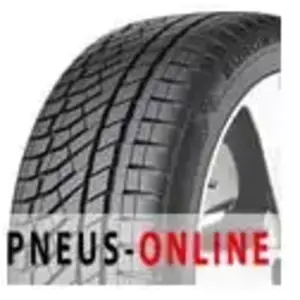Falken EUROWINTER HS02PRO 275/50 R20 113V pas cher