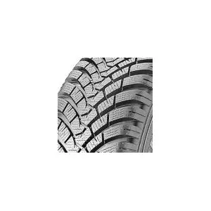Falken EUROWINTER HS01 245/40 R20 99W pas cher