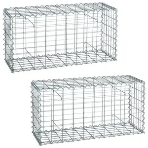 Estexo 2 Gabions à pierres en métal galvanisé 100 x 50 x 30 cm pas cher