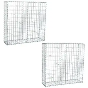 Estexo Lot de 2 gabions avec Spirales et Porte-écarteurs Inclus 100 x 100 x 30 cm