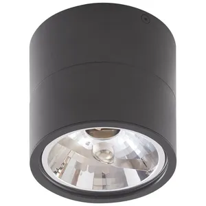 LINDBY Spot à intensité variable 'Thorid' en métal pour salon & salle à manger pas cher