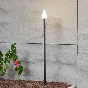 Comparateur de prix : Lampe sur piquet LED Lindby Selinda, noir, hauteur 100 cm