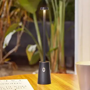 Comparateur de prix : Lindby lampe de table LED rechargeable Noelani, hauteur 30 cm, IP44,