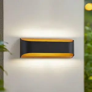 Applique d'extérieur LED Lindby Lenore, noir, métal, 36,5cm pas cher