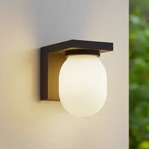 Applique d'extérieur Lucande Ovaali, verre, gris foncé, IP65 pas cher