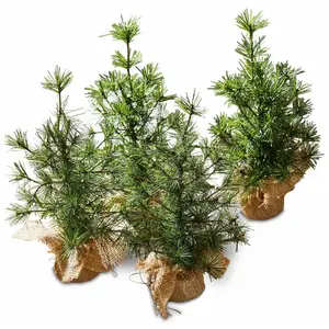 Comparateur de prix : LOBERON Lot de 4 sapins décoratifs Millies, vert/marron (30cm)
