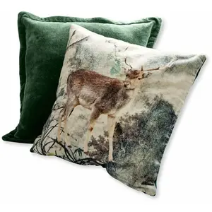 Comparateur de prix : LOBERON Lot de 2 housses de coussins Anie, vert (40 x 40cm)