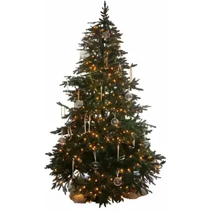 LOBERON Sapin de Noël Celindor, vert (148 x 225cm) pas cher