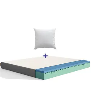 EMMA Pack Matelas Mémoire de forme et Oreiller Nuage 160x200 pas cher