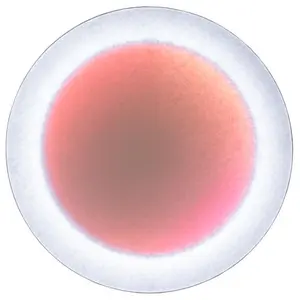 Comparateur de prix : INGO MAURER Moodmoon Applique murale LED RVBB avec variateur, ronde, 1...
