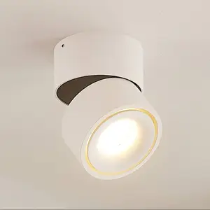 Spot pour plafond LED Arcchio, blanc, à 1 lampe, 790 lm pas cher